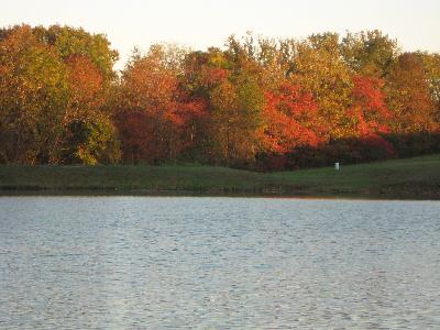 IMG_0270.jpg